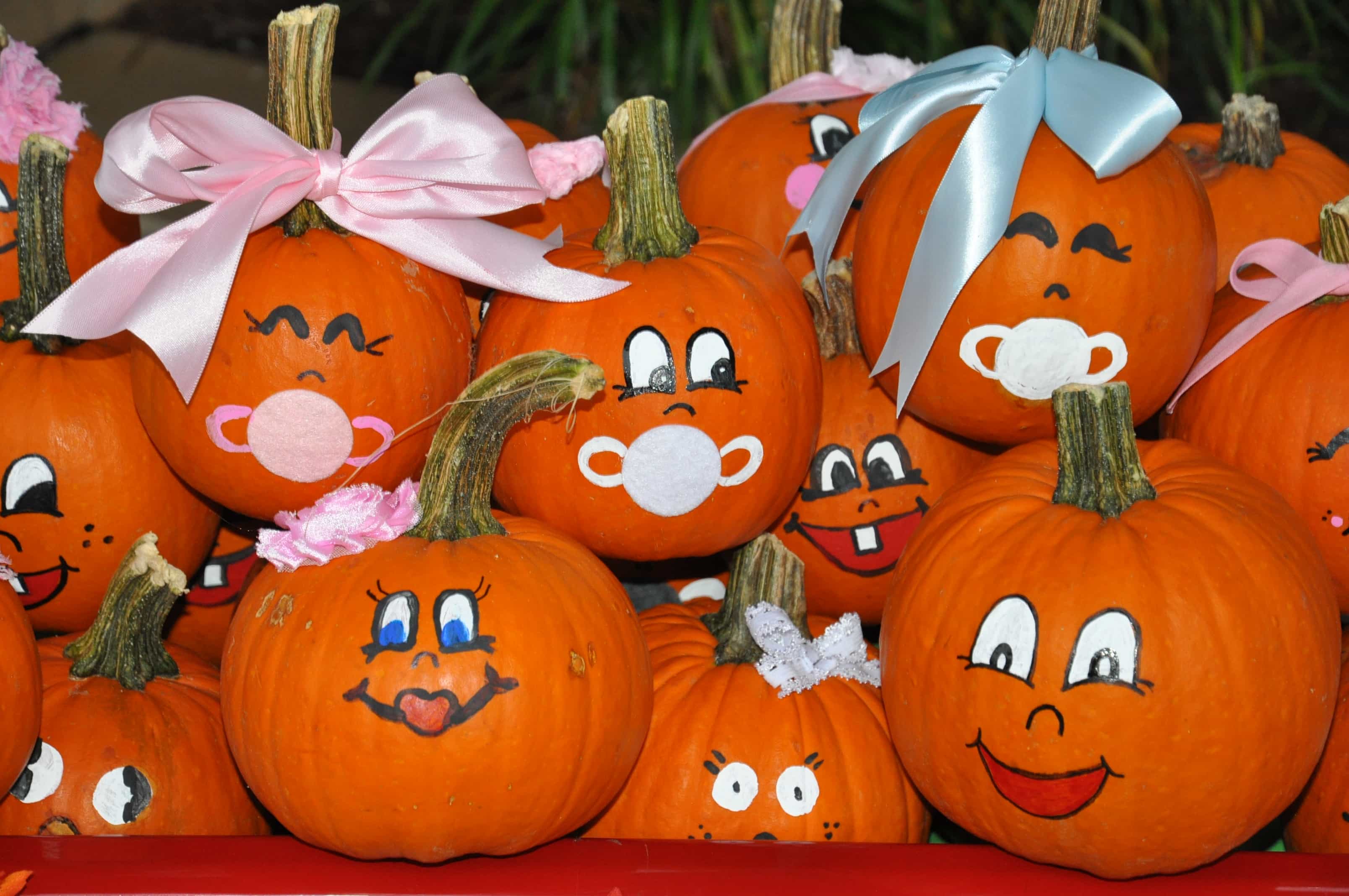 Pumpkin Babies, Teacher's Birthday + A Halloween Party - Dixie Delights