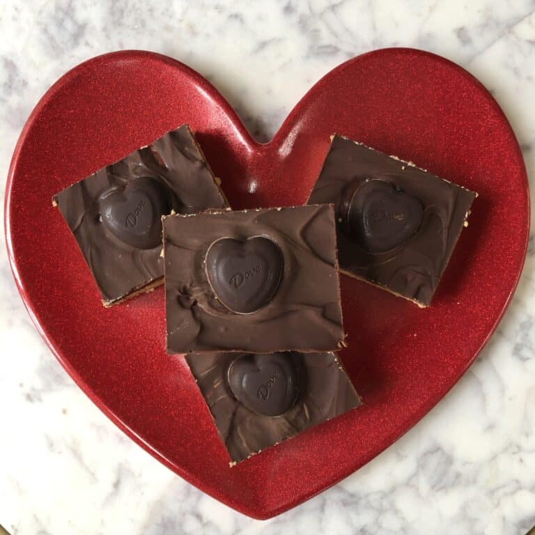 The Best Chocolate Peanut Butter Bars Dixie Delights