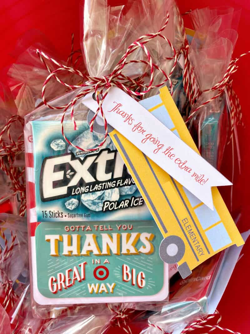 Thanks for Going the Extra Mile {Bus Driver Appreciation Day} – Dixie ...